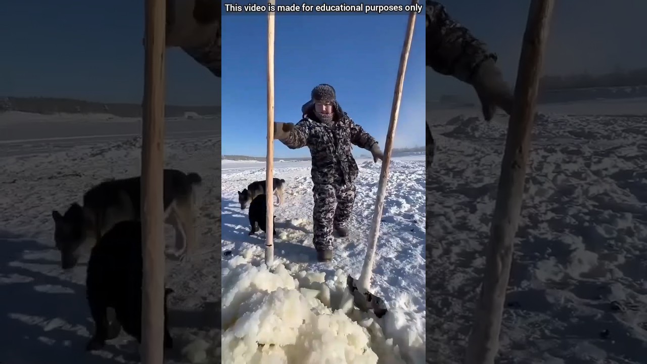 Temperature in Antarctica -80&deg;C | #shorts