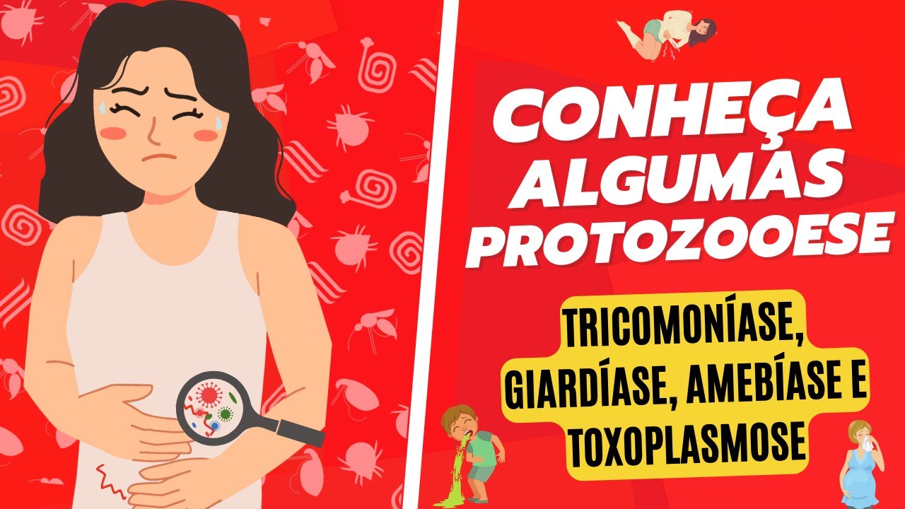 PROTOZOOSES: TRICOMON&Iacute;ASE, GIARD&Iacute;ASE, AMEB&Iacute;ASE E TOXOPLASMOSE