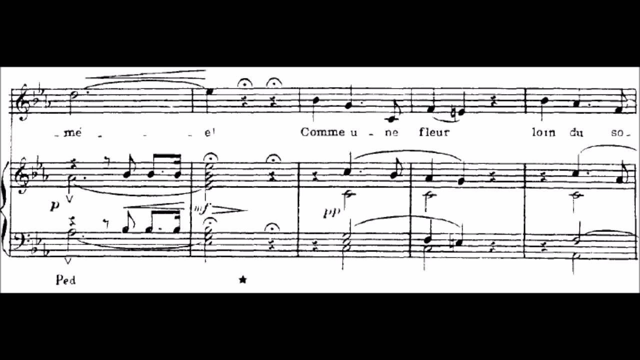 (4/6) Absence - Sarah Connolly (with score animation)