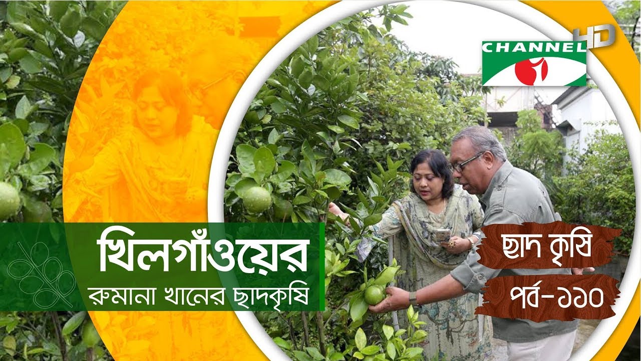 খিলগাঁওয়ের রুমানা খানের ছাদকৃষি | পর্ব ১১০ | Shykh Seraj | Channel i |