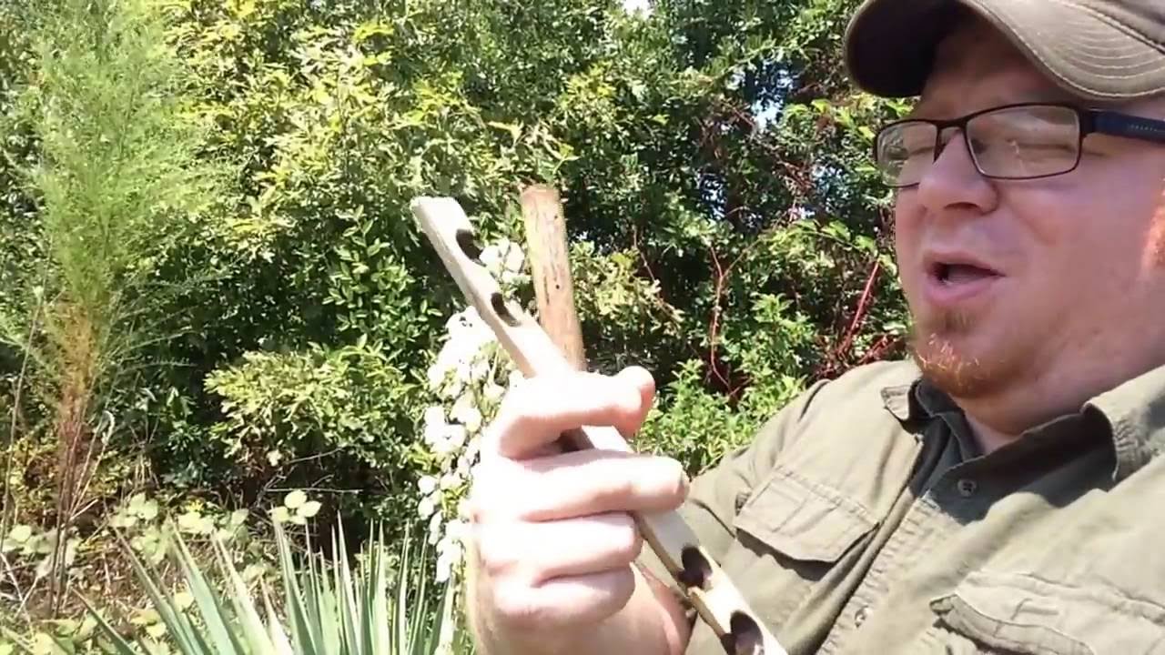 Forager's Find 1: Yucca - Plant ID