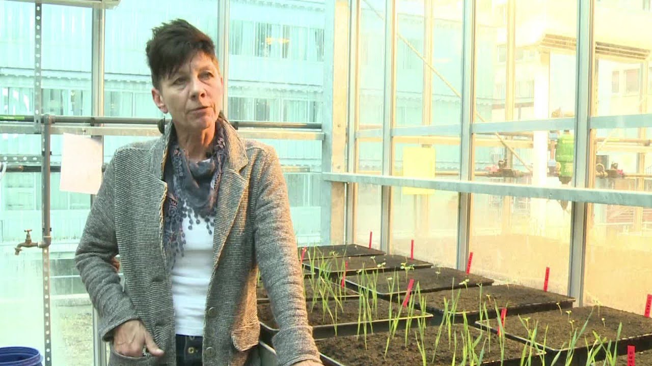 Environmental Scientists and Specialists, Including Health Career Video