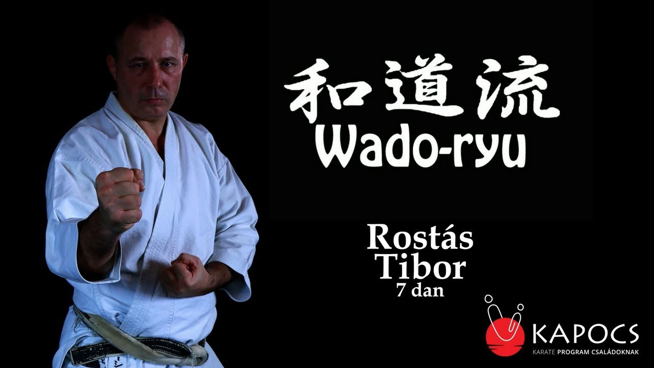 Wado-ryu karate bázistechnikák (wado-ryu kihon waza) - Kapocs Sportprogram