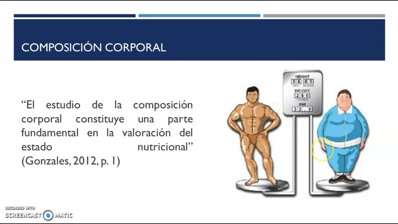 Balance energético y composición corporal