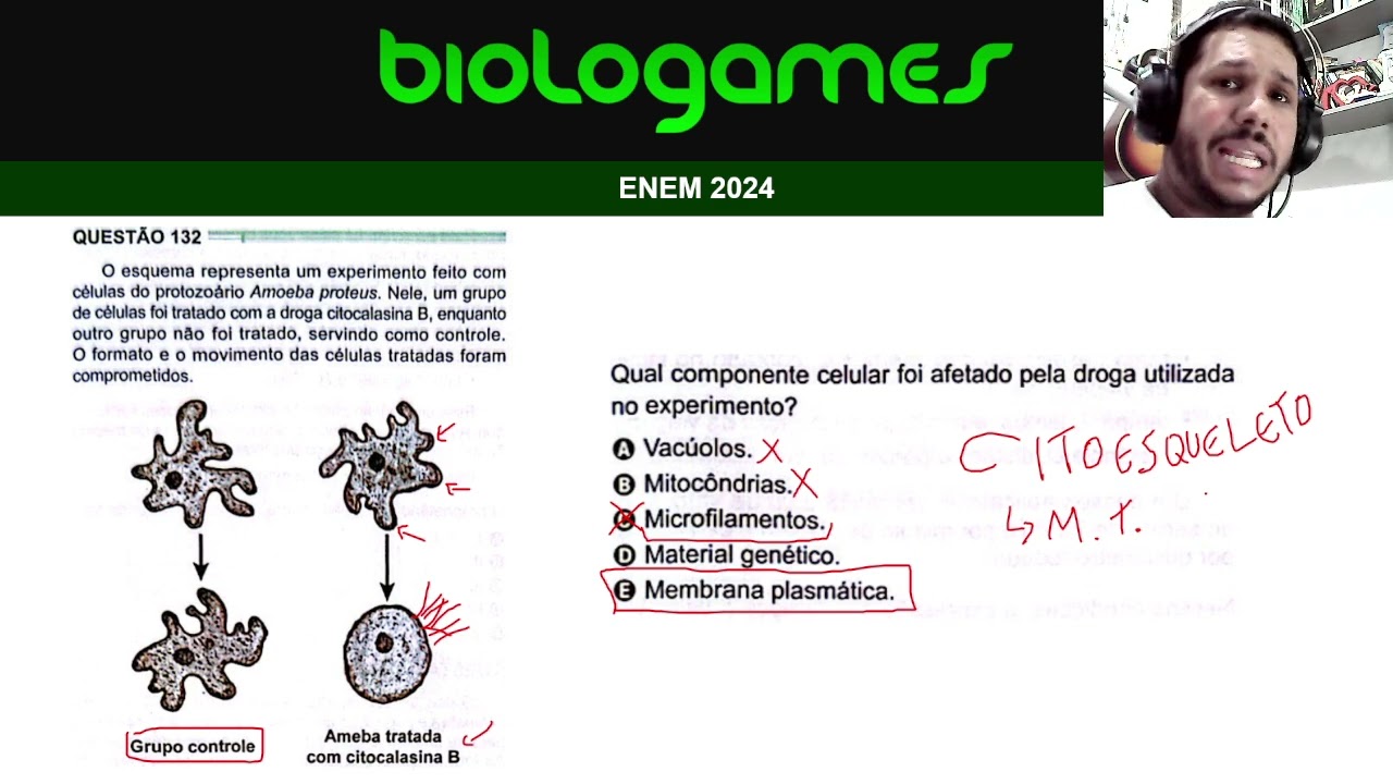 ENEM 2024 - PROVA VERDE - Questão 132