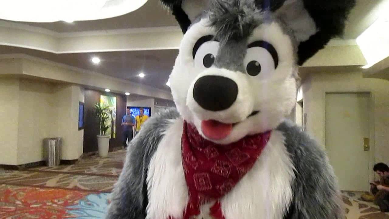 Friendly's Biggest Little Fur Con 2016 Music Video