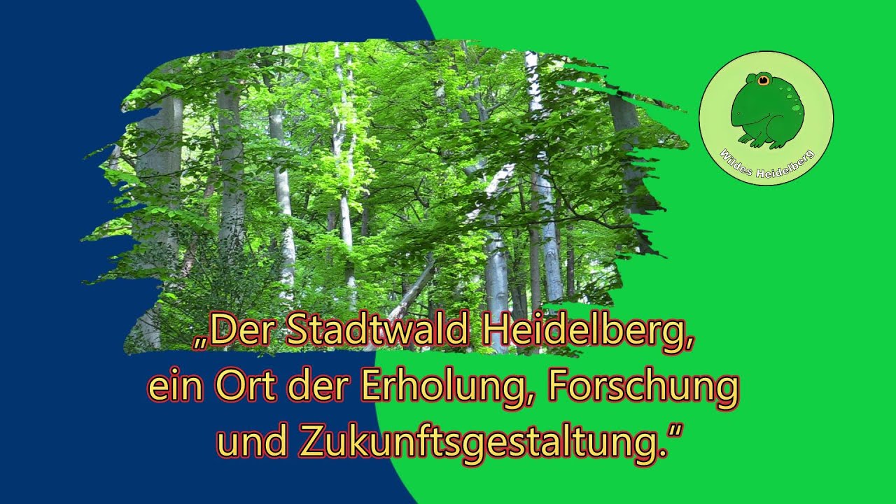&bdquo;Der Stadtwald Heidelberg, ein Ort der Erholung, Forschung und Zukunftsgestaltung.&ldquo;