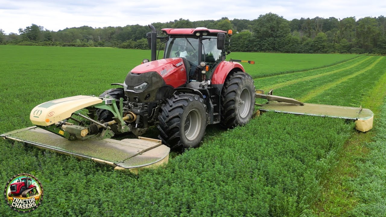 Hay Mowing, Merging, Chopping on a Dairy Farm