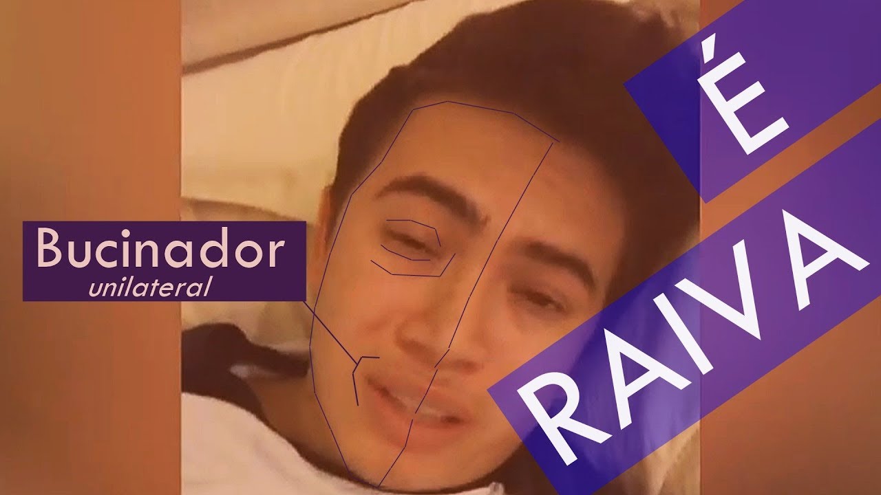 Whindersson Nunes (An&aacute;lise de Linguagem Corporal - SCAN)