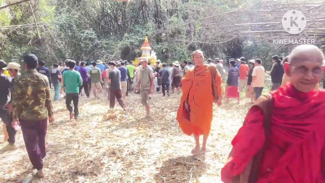 ฌาปนกิจศพ เอาผีลงป่า ชนบทลาว