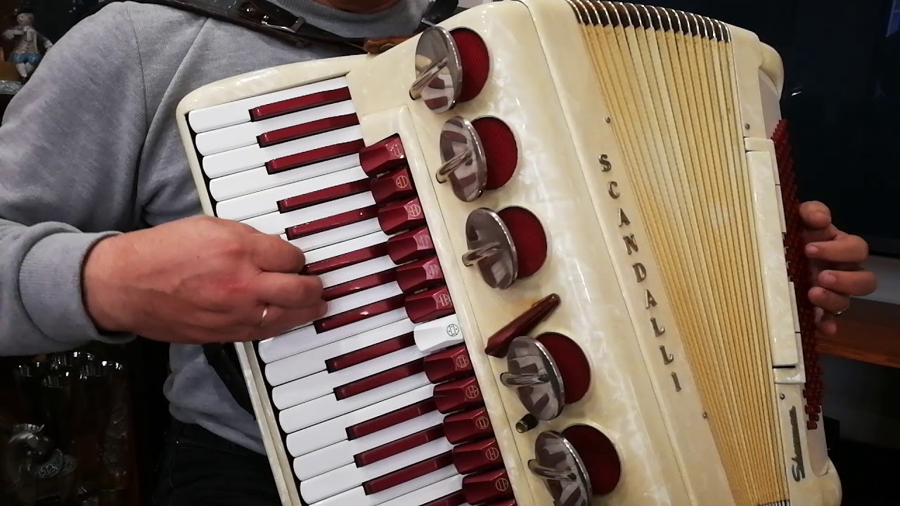 Scandalli Showman 120 bass LMMH Accordion Polifonico Brevetto Fisarmonica + Case AC876 (1)