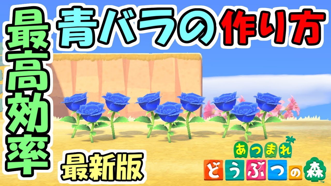 【あつ森】最新版！これが一番確率が高い青バラの作り方です　～青バラ完全攻略～【あつまれどうぶつの森】