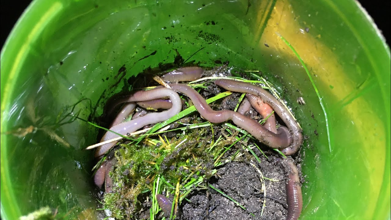 S&aring;dan lyser du regnorm!