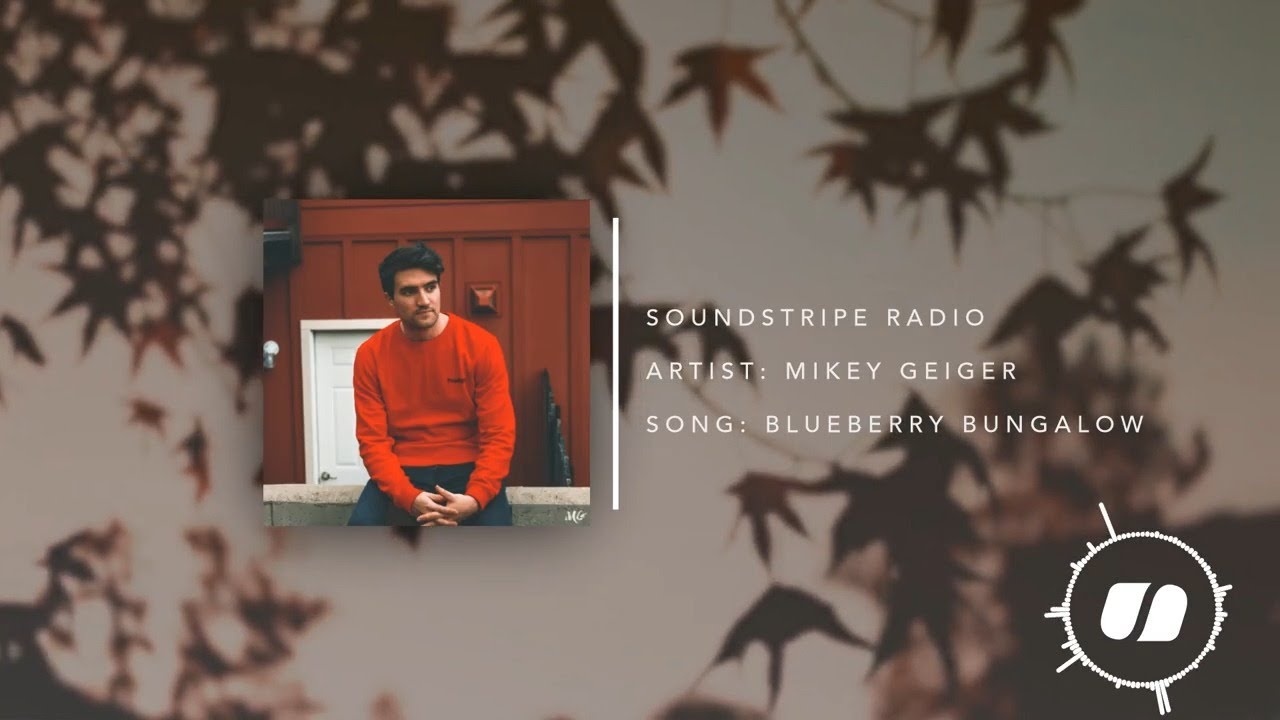 Blueberry Bungalow – Mikey Geiger | Electronic Music