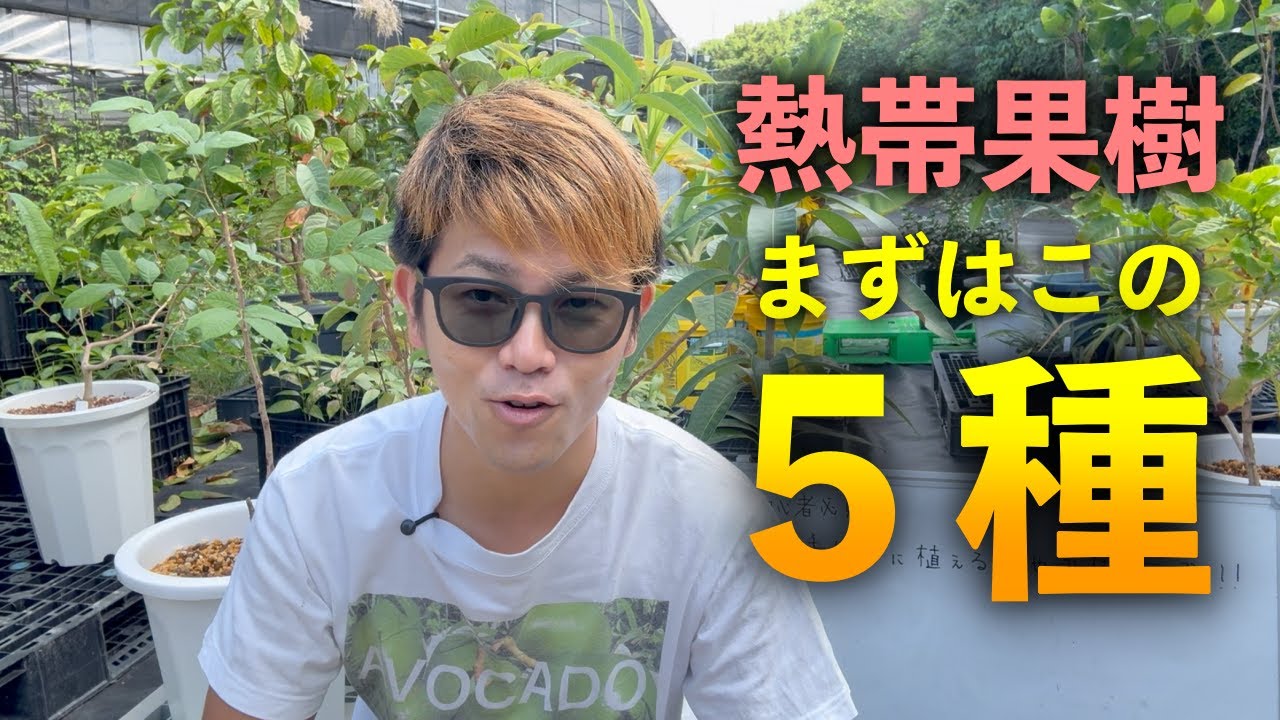 【初心者必見！】手始めに植えるべき露路果樹「5」選はこれだ！！！！！！！