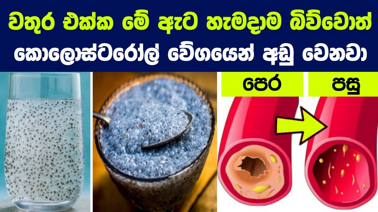 රුධිරගත කොලෙස්ටරෝල් මට්ටම අඩුකරන සුපිරිම ආහාර වර්ග 08ක් | How Basil Seeds Help Reduce Cholesterol