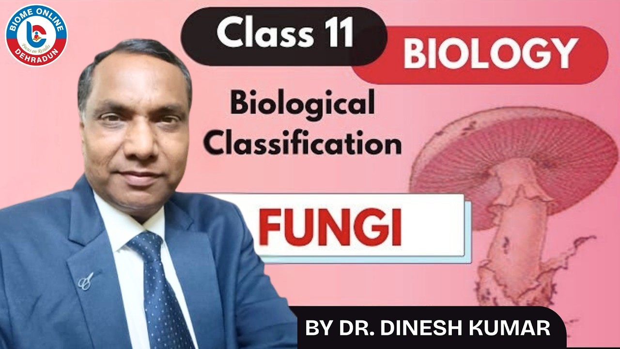 Kingdom Fungi | Class 11 Biology | Biological Classification