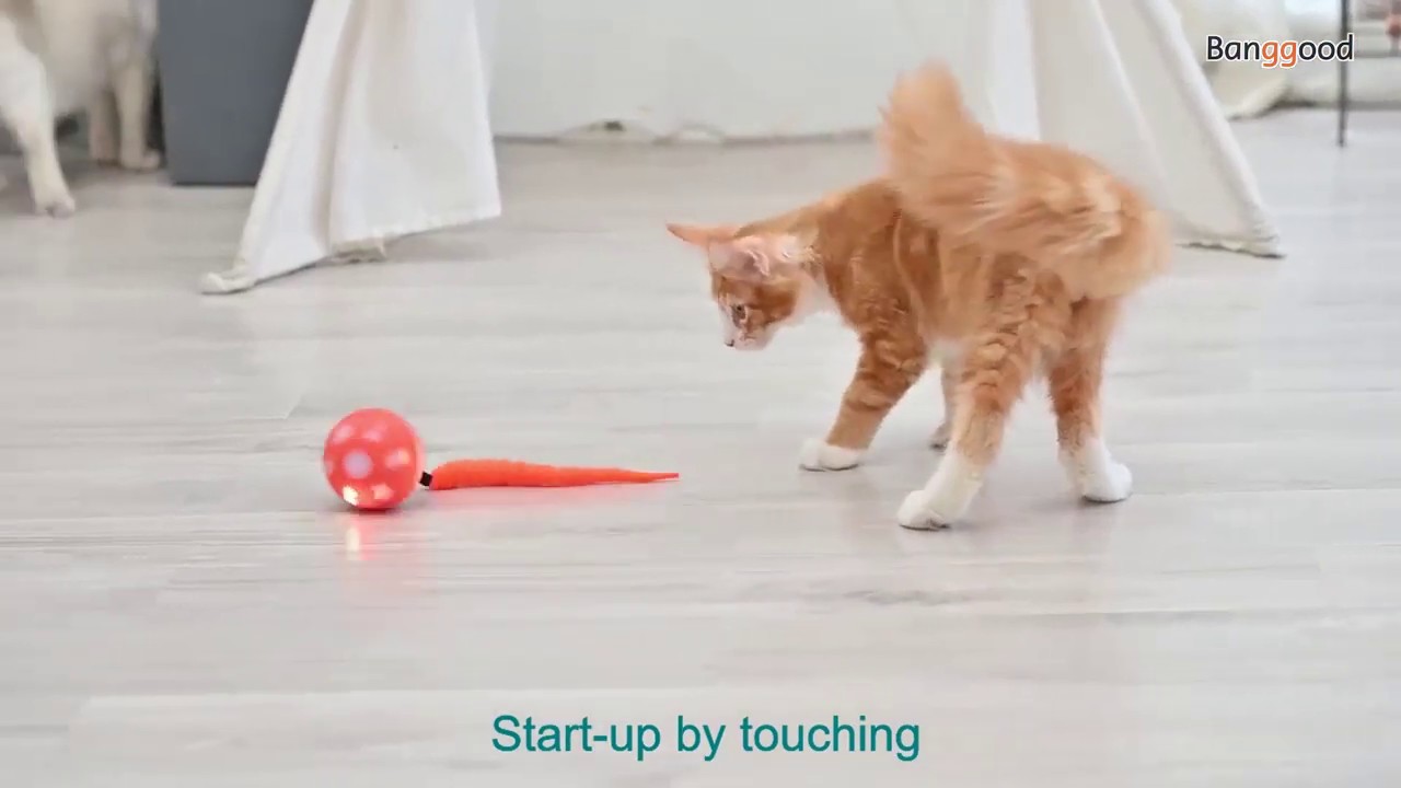 Bentopal USB Charging Smart Ball Smarts Sensor Balls Pet Toys - Banggood.com