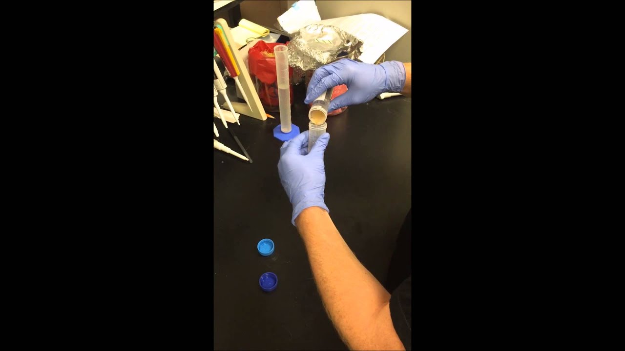 Soybean Seed Sterilization, Inoculation, and Planting Tutorial