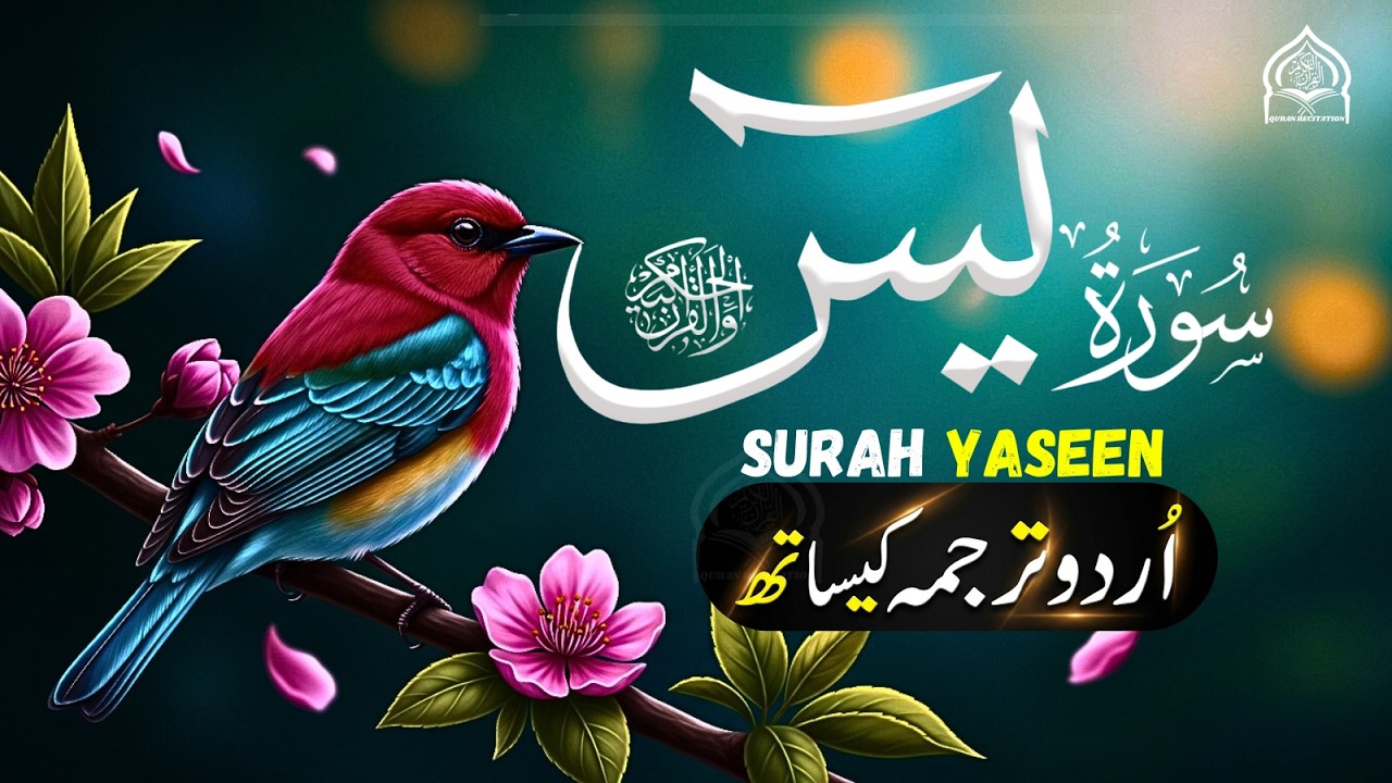 Surah Yasin for Every Difficult Task | Har Mushkil Ka Hal | Urdu & Hindi Translation - سورة یس