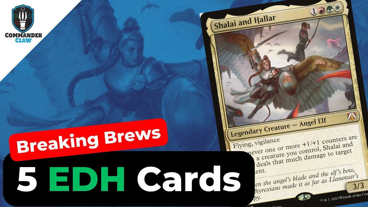 Улучшения Шалай и Халлар | Карты «Драконий шторм» Таркира | EDH | Breaking Brews | #commanderclaw