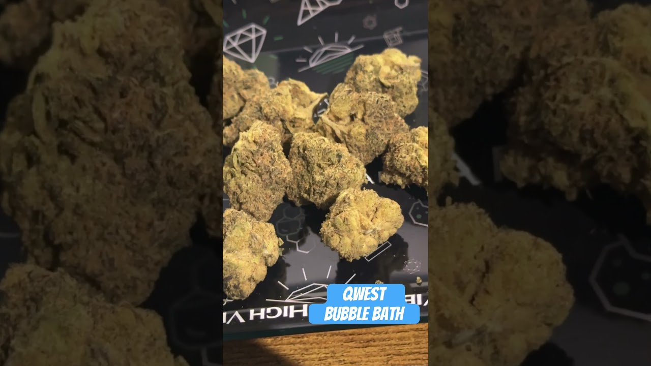 Qwest - Bubble Bath | UK Medical Flower