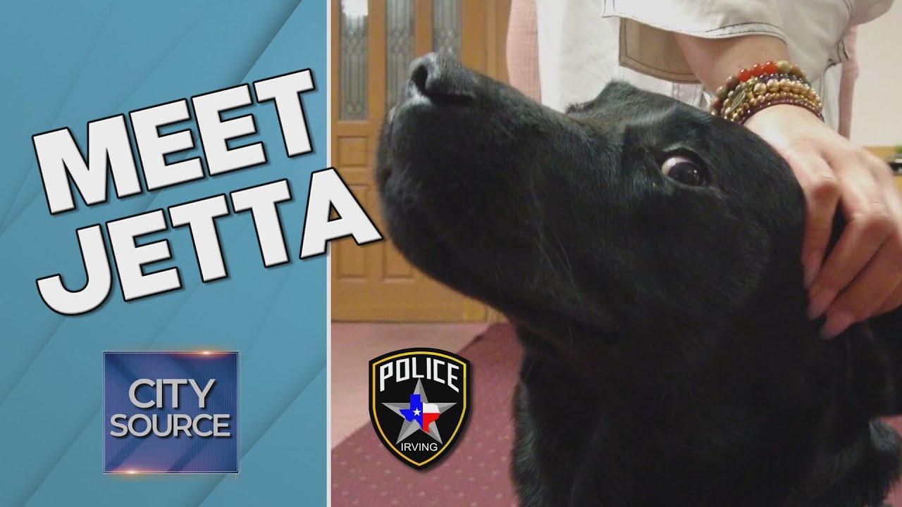 Canine Companions Dog Jetta Joins Irving Family Advocacy Center