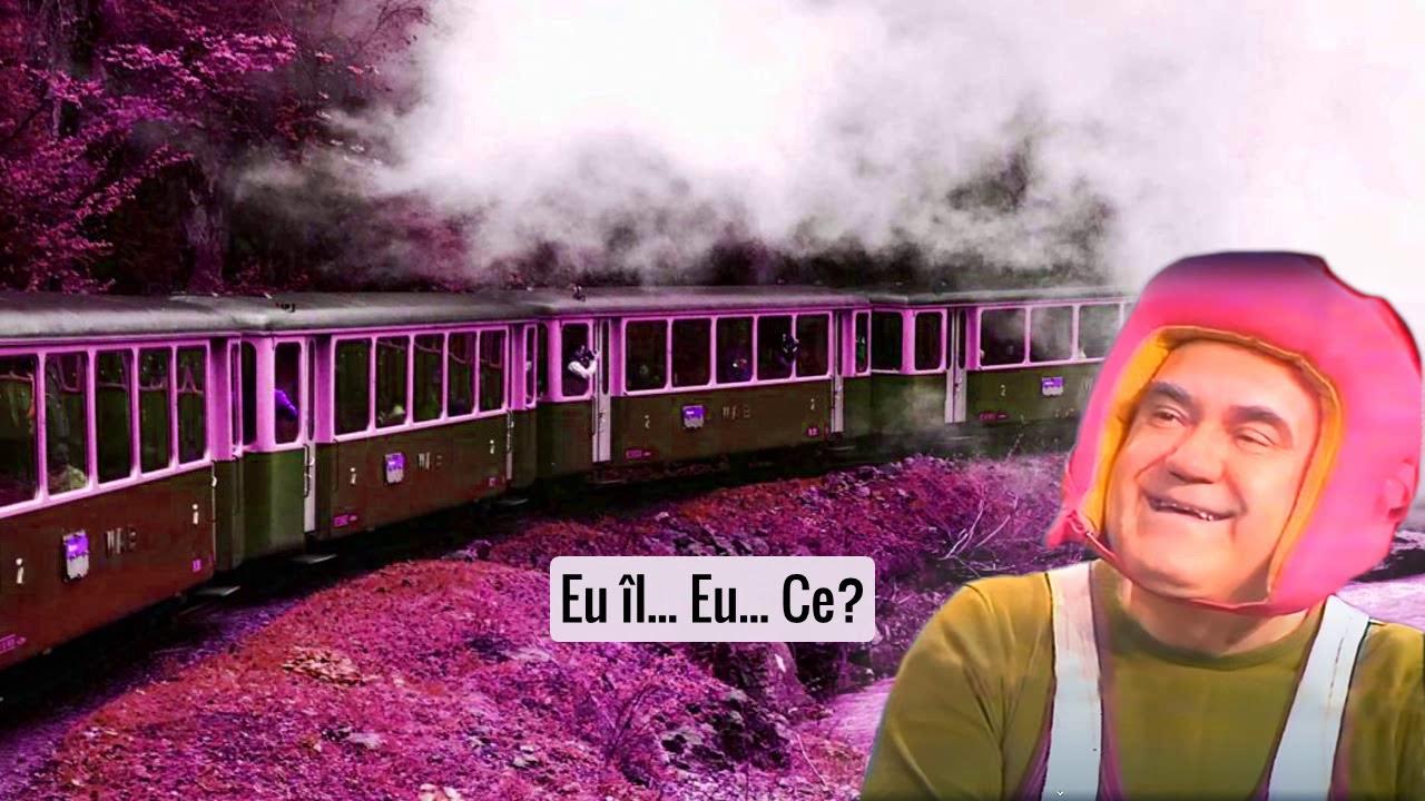 A PLECAT UN TREN DIN GARĂ cu Dem Rădulescu 🎭 Teatru Radiofonic Subtitrat
