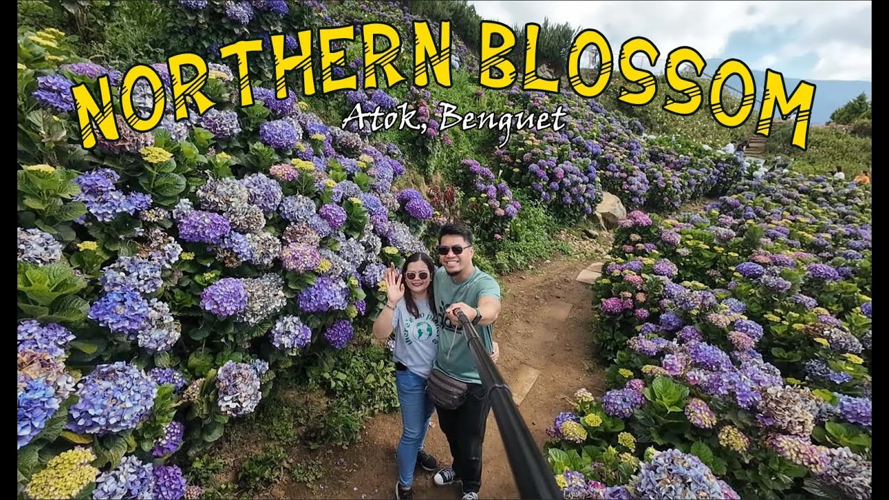 Northern Blossom Flower Farm