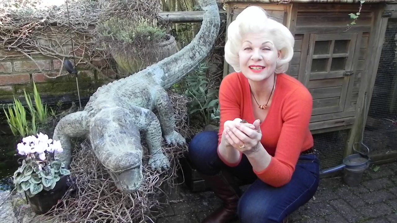 Jeanne Willis reads The Bog Baby
