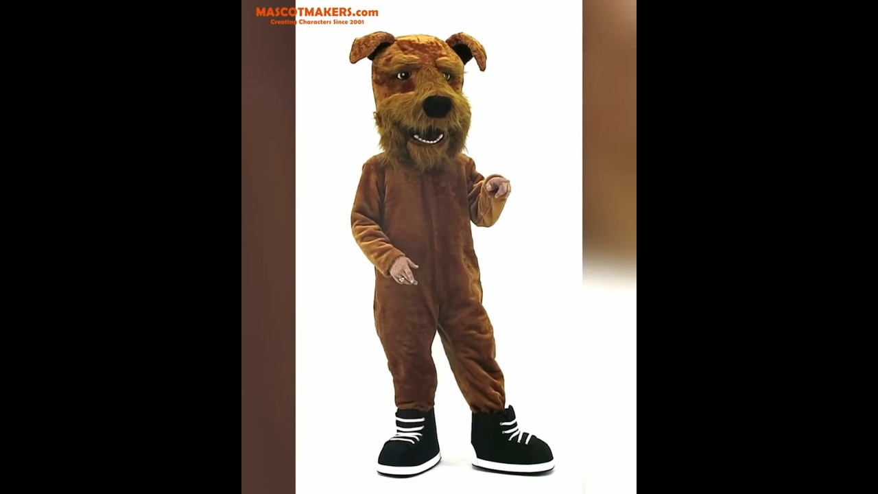 Terrier Mascot Costume for Watertown Shamrocks Ice Hockey Team #mascotcostume #terrier