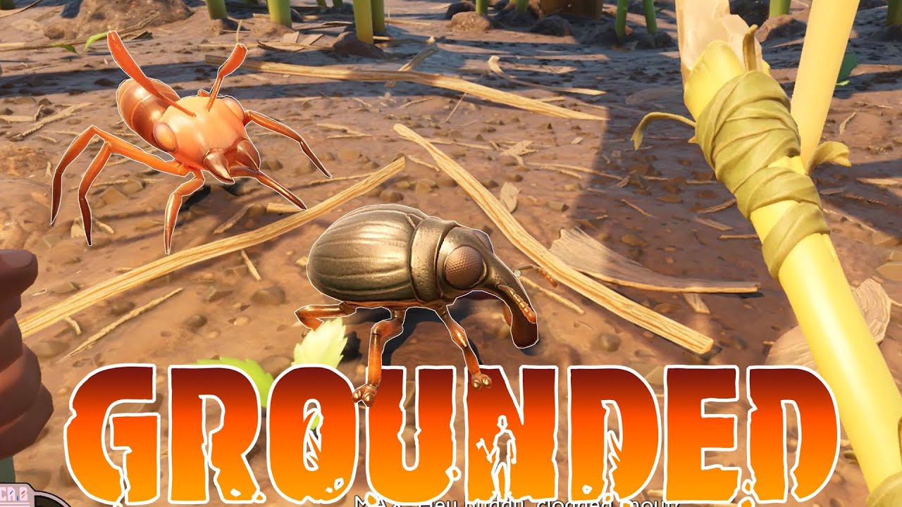 Grounded - Part 1 - New Survival Game (Grounded Gameplay)