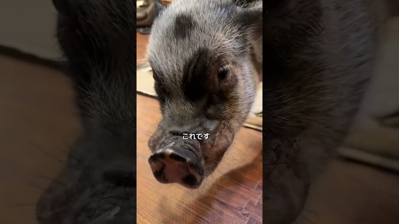 久しぶりに怒ってた😭😭