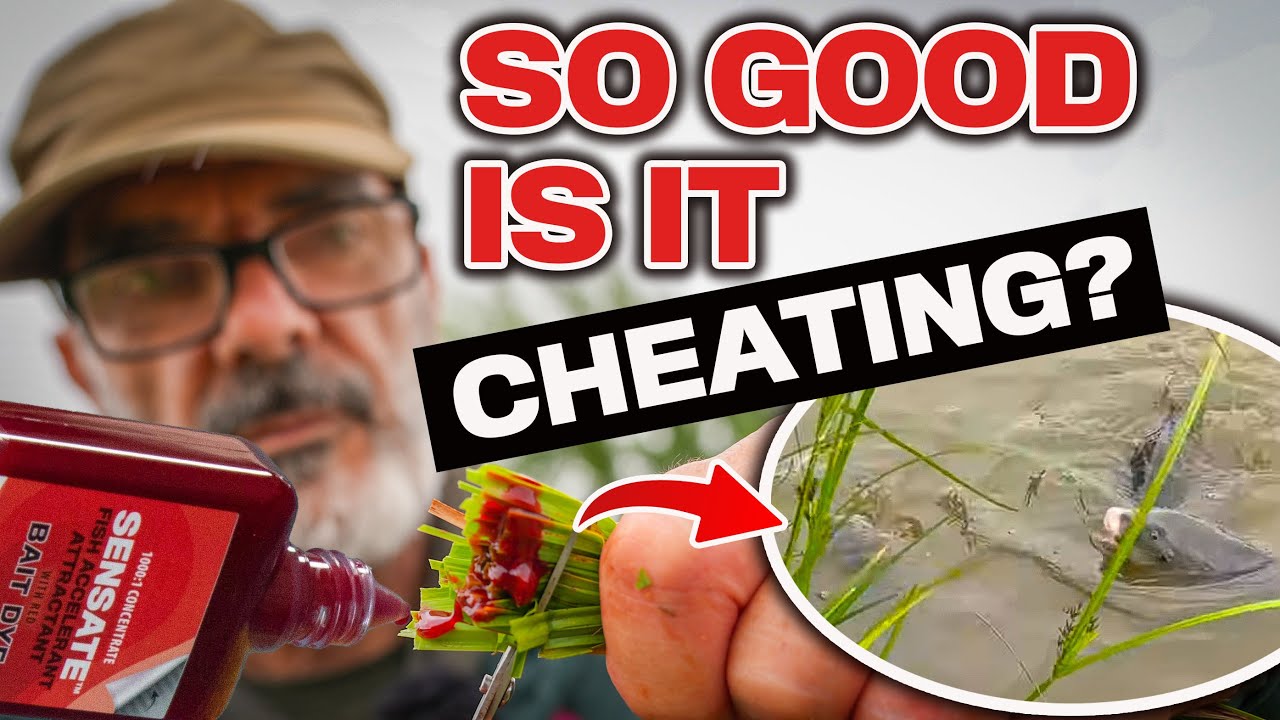 Fishing's Best Kept Secret | Carp React Like THIS