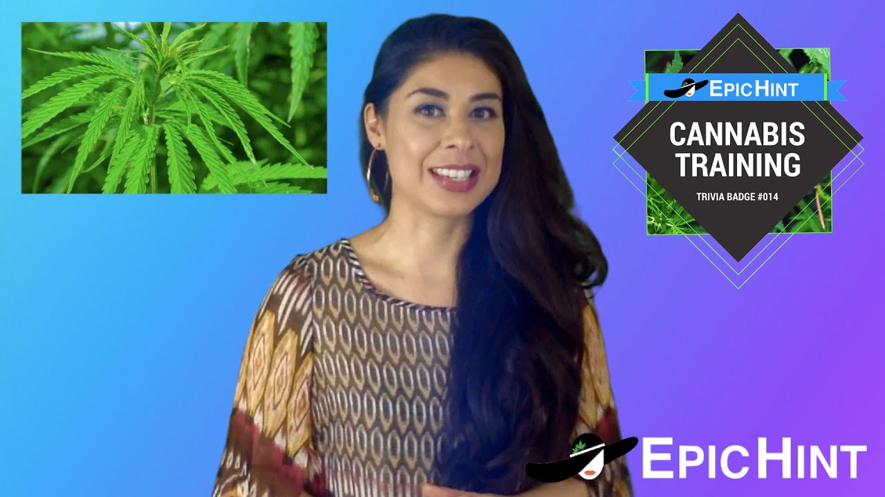 Cannabis Plant Classifications (Cannabis Training Trivia) »