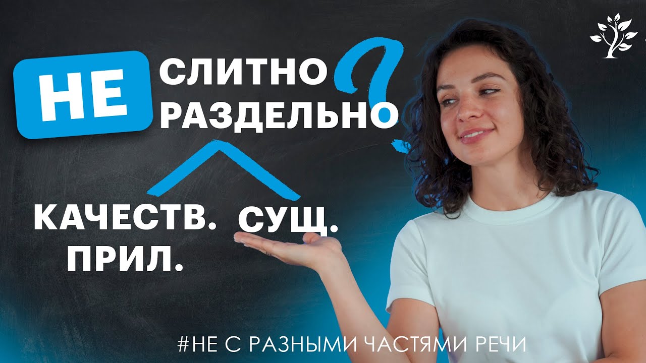 НЕ с именем существительным и качественным прилагательным. Алгоритм. Русский язык
