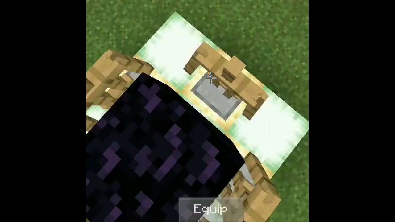 Minecraft viral Tik Tok hack 