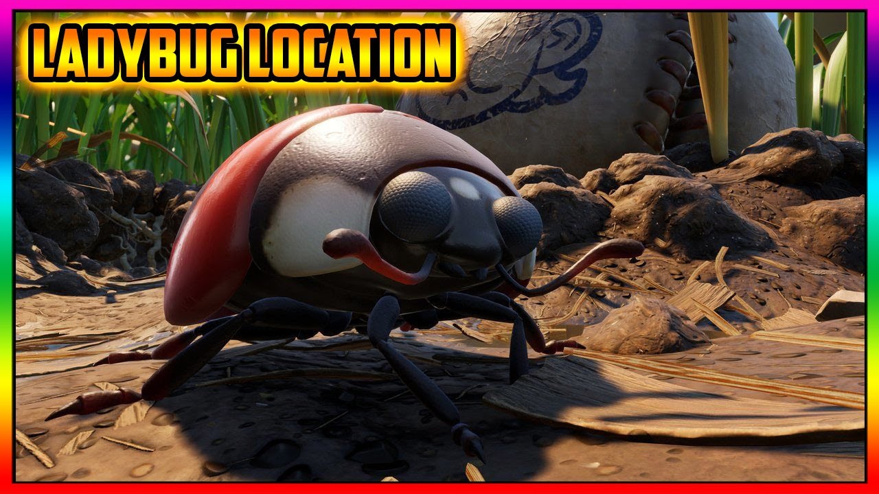 Grounded Ladybug Spawn Locations