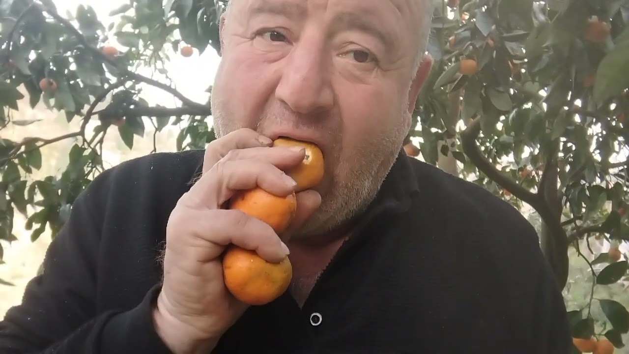 Пака ЧАЧА гоняю решил Смаксимам прагулятся мандариновий сад