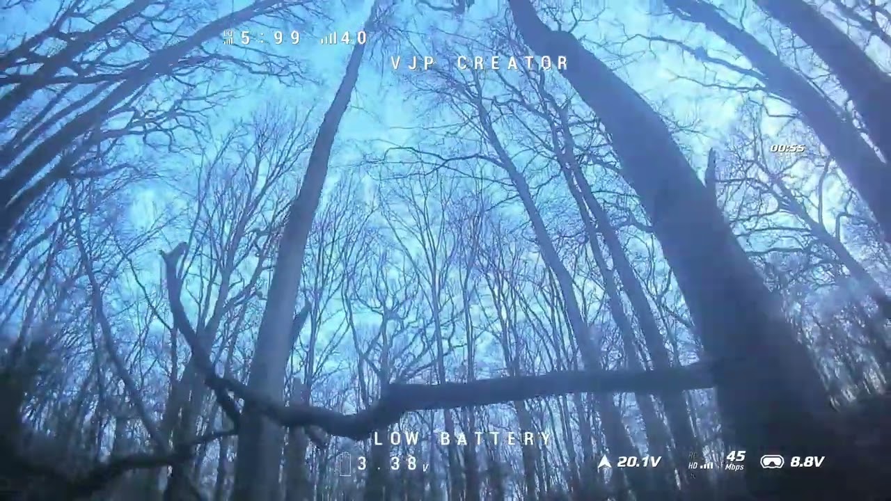 Wooodyy woddy FPV FREESTYLER