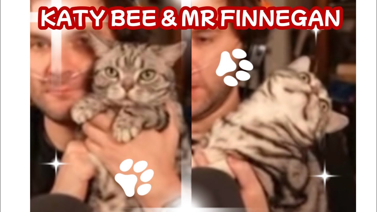 Katy Bee and Finnegan showed up Scar’s REPO stream! (CLIP)