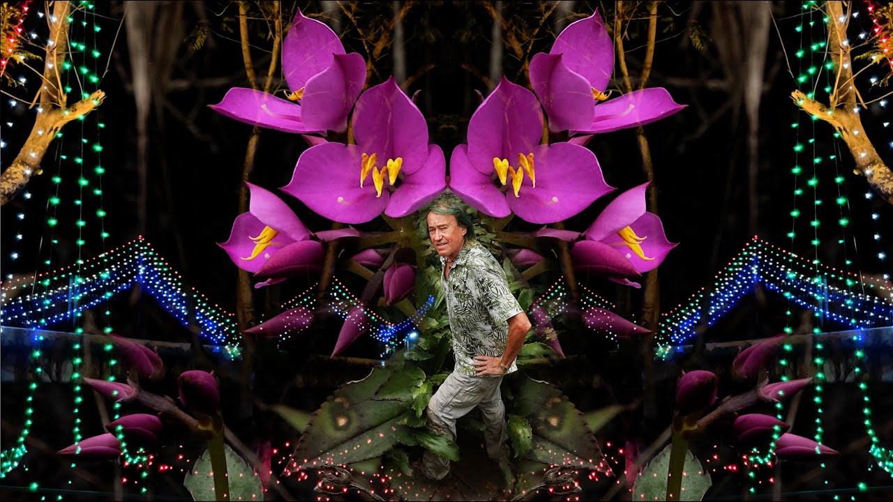 FIELD TRIP WITH PATRICK BLANC IN INDIA - WESTERN GHATS - BRAHMAGIRI TO ERAVIKULAM