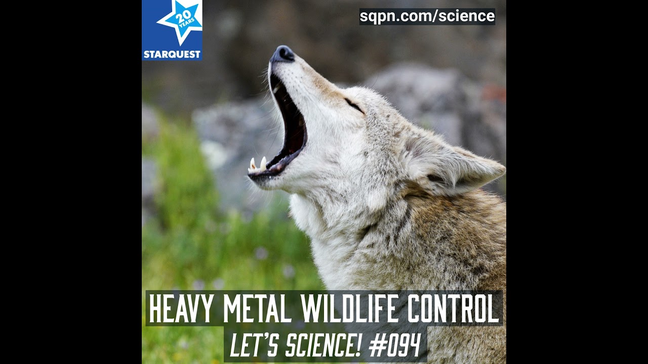 Heavy Metal Wildlife Control