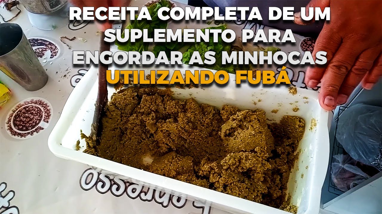 Receita completa de um suplemento para engordar as minhocas [UTILIZANDO FUBÁ]
