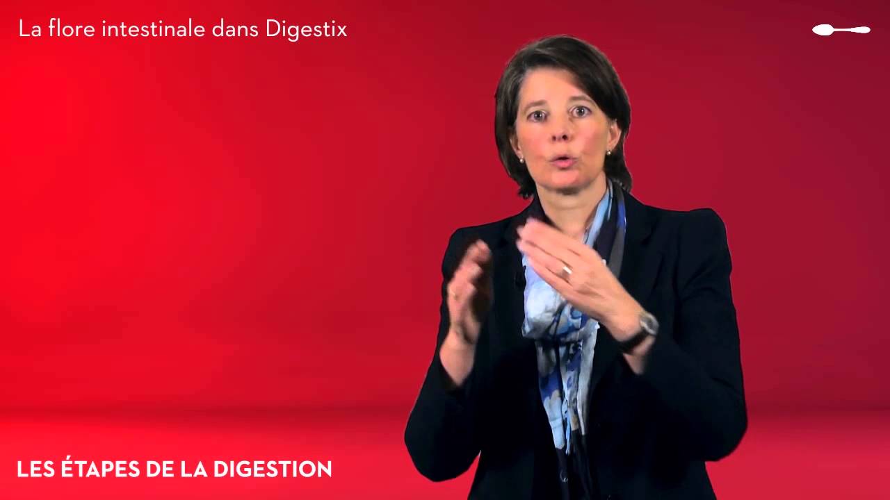 Le syst&egrave;me digestif - La flore intestinale