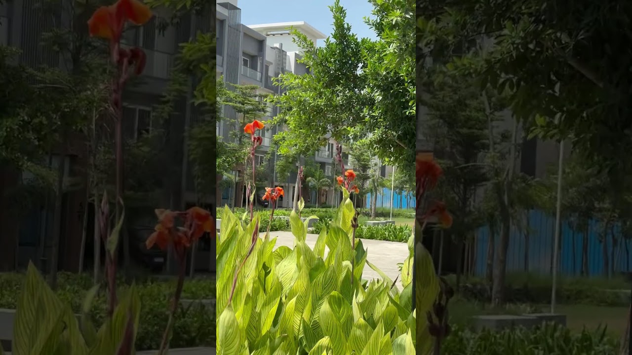 M3M Soulitude & Smartworld gems Sector 89 2bhk & 3bhk Ready to move luxury floors starts with 1.35cr