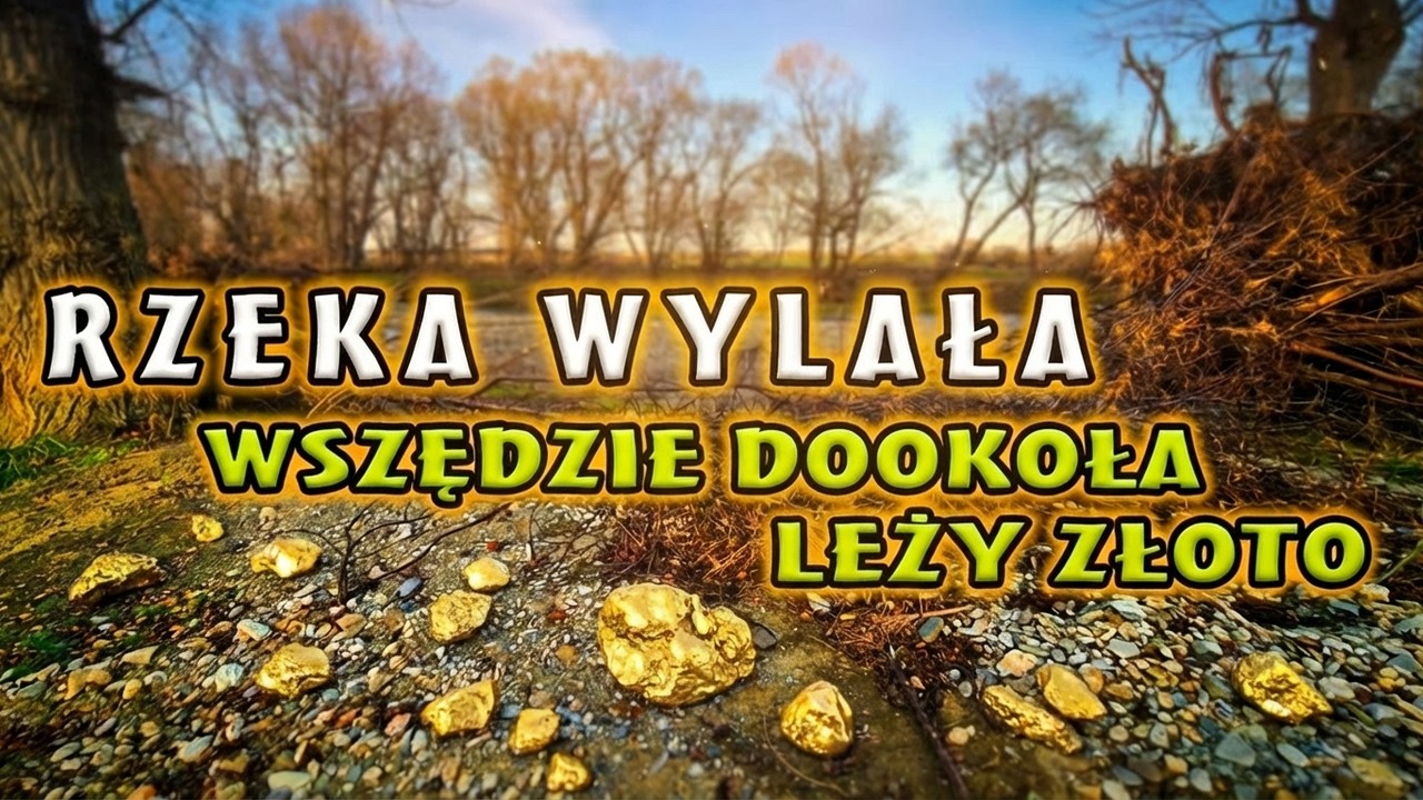 Rzeka wylała z brzegów i rozniosła złoto po polach. Jest dosłownie wszędzie. Polskie złoto #66