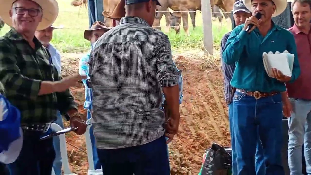 4° Encontro de folia de reis, fazenda cafundó Apresentação de bom Jesus da penha 