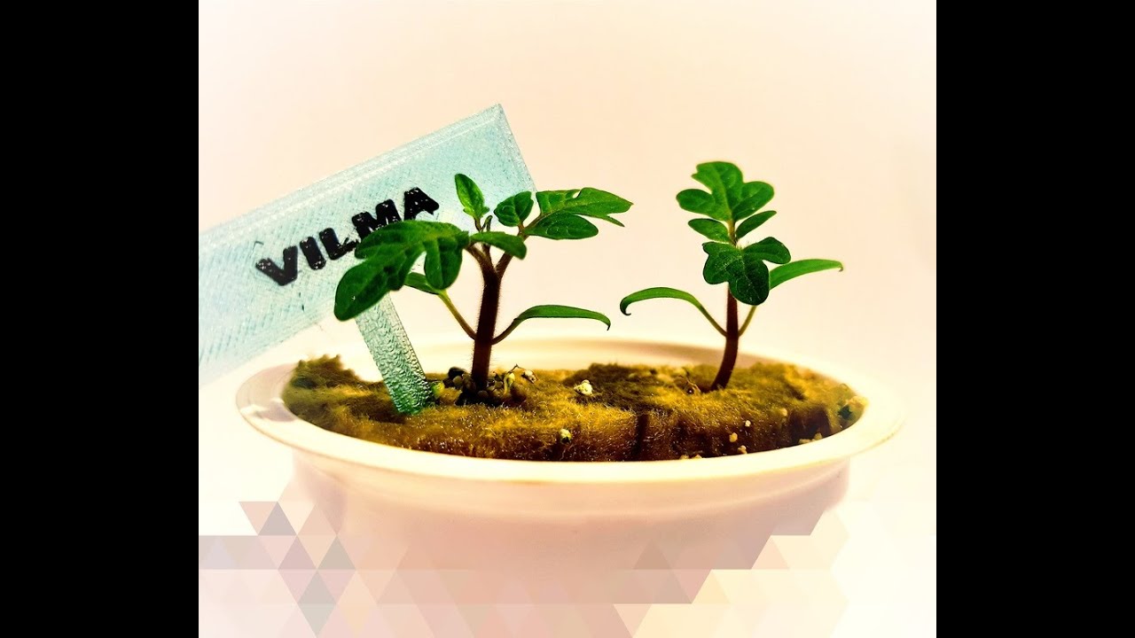 Hidropónia alapok Part 3. - Környezeti paraméterek (Basic Hydroponics - Environmental parameters)