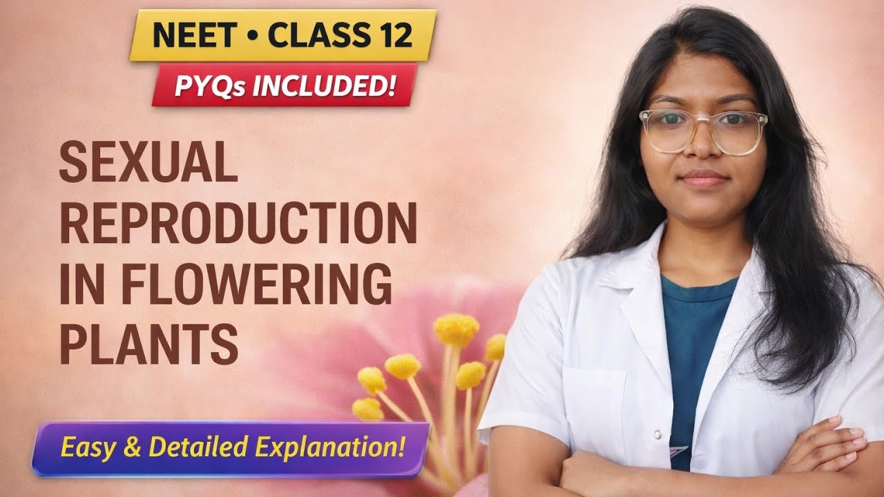Pollen Grain//Sexual Reproduction in Flowering Plant//part-2//Neet2026//12thBiology//Sandeepa Mam 